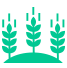Pure Farm Logo